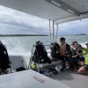 Divers Paradise Key Biscayne
