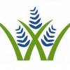 Wildflower Orthodontics