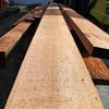 The Lumber Baron