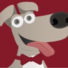 Woof Lincoln