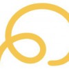 Lasso Workforce