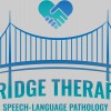 Bridge Therapy