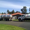 Lil' Stinky Environmental Service