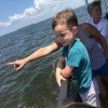 Harbor Star Dolphin Tours
