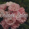 Collage Salon