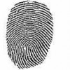 Budget Fingerprinting & Notary