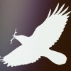 Laughing Crow Salon