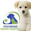 Pocomoke Clinic