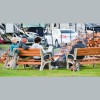 Hoquiam River RV Park