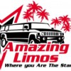 Amazing Limousine
