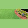 Family Tree Lawn Care