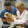 West Palm Animal Clinic