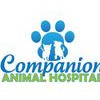 Companion Animal Hospital