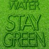 Drought Lawn
