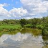Live Oak Land & Real Estate