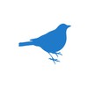 Blue Sparrow Cleaning