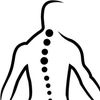 Structure & Function Chiropractic & Rehab