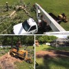Green Care Tree Service