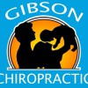 David L Gibson Chiropractic