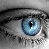 More Vision Eye Care
