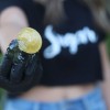 Sugar