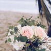 Petals & Vines