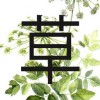 Integrative Translations