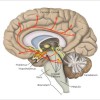 Comprehensive Medical Addiction & Psychiatric