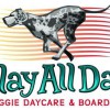 Play All Day Doggie Daycare & Boarding