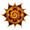 Bodhi Of Life Therapeutic Massage & Thai Bodywork