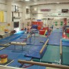 Gymnastics Gold