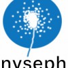 Nyseph
