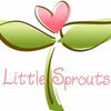 Little Sprouts Academy Home Childcare