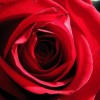 GardenHill Funeral Directors Service