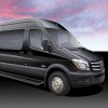 Bare Minimum Limousine