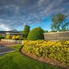 Wilson Veterinary Hospital Pa