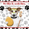 Dazzle Dog Grooming Spa