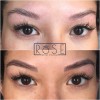 Rose Brow Lounge