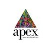Apex Counseling Center