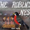 The Robin's Nest Preschool