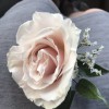 Sweet T Flowers