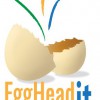 EggHead IT