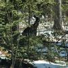 Wild Rivers Group-First Weber