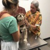 Valley Vetco
