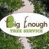 Big Enough Tree Service