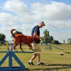 SEMO DogTrainers