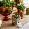 Lavishly Yours Events