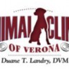 Animal Clinic Of Verona