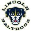Lincoln Saltdogs Baseball