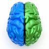 Brain Performance & Psychology Center
